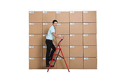 《怪物猎人：荒野》春季活动交流祭典“花舞之仪”介绍视频